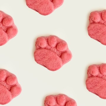 All Too Good  Mini Paws Freeze-Dried Treats Chic w/Cranberry 54g